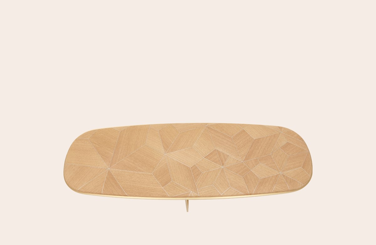 Carapace Low Table